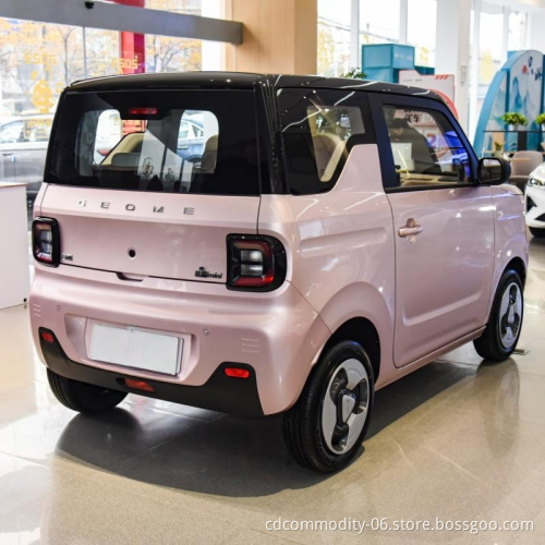Cheap and High Quantity New Energy Vehicle Geely Panda Mini Car Cute New Electric Car for Sale